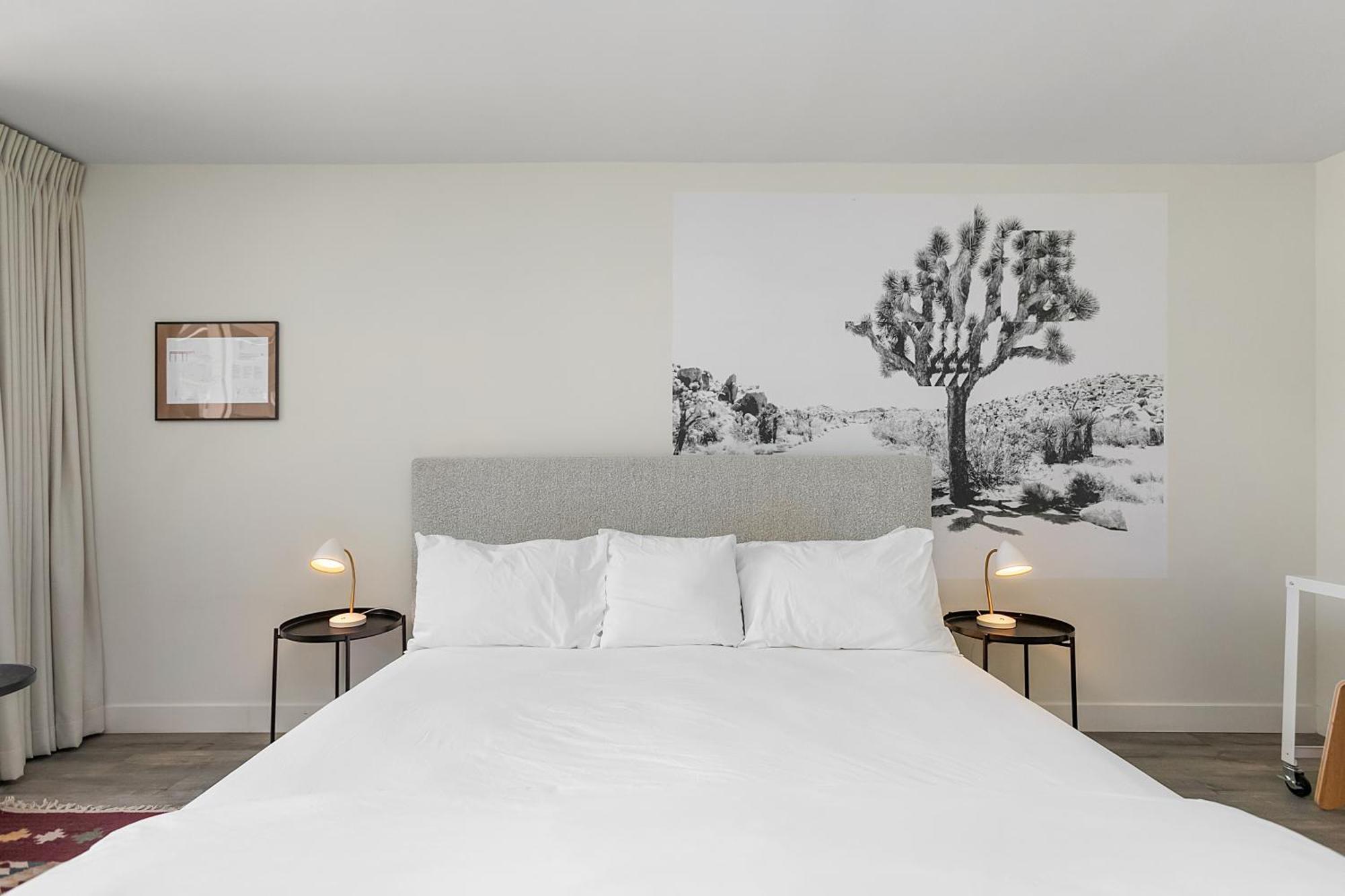Papago Hotel By Reside, Trademark Collection By Wyndham Σκότσντεϊλ Εξωτερικό φωτογραφία